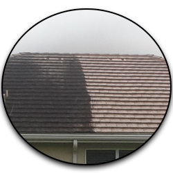 A-1 Pressure Washing & Roof Cleaning | Pressure Cleaning 
